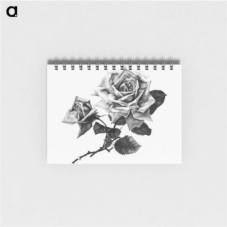 アートメモ帳-Rose from Songs of Love and Joy
 - 大英図書館 Memo.