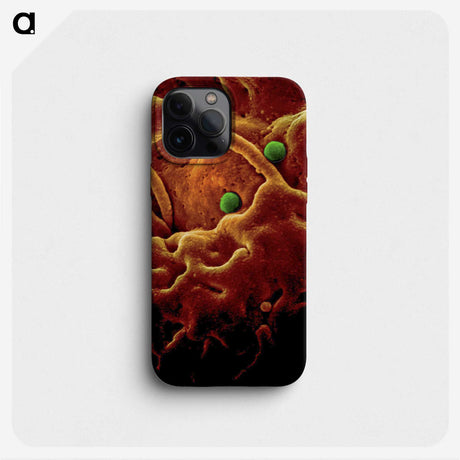 2-28_COVID-19_phone