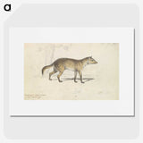 2-28_Charles-Hamilton-Smith_picture