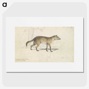 2-28_Charles-Hamilton-Smith_picture