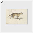 2-28_Charles-Hamilton-Smith_postcard