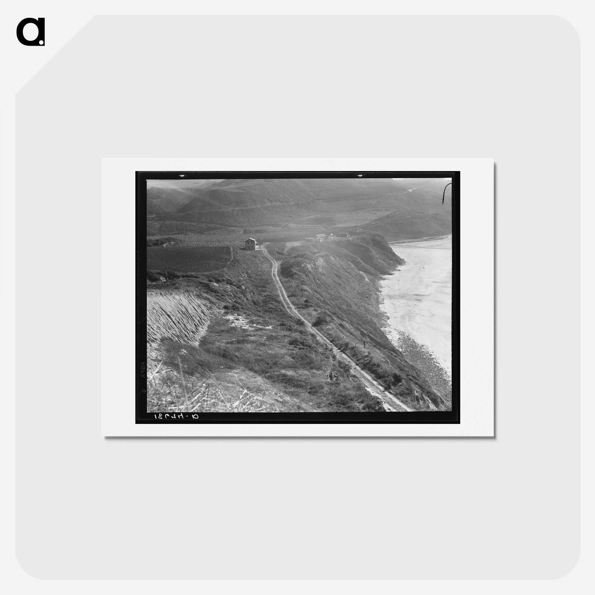 2-28_Dorothea-Lange_hagaki
