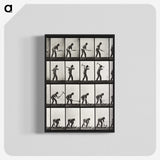 2-28_Eadweard-Muybridge_blk-crop