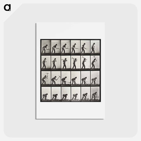 アートポストカード-Animal Locomotion Plate 386
 - エドワード マイブリッジ Postcard.