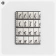 2-28_Eadweard-Muybridge_memo