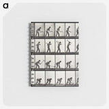 2-28_Eadweard-Muybridge_memo