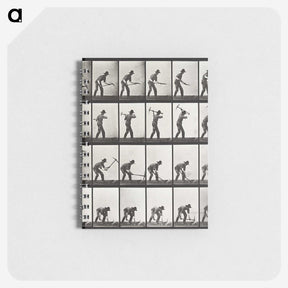 2-28_Eadweard-Muybridge_memo
