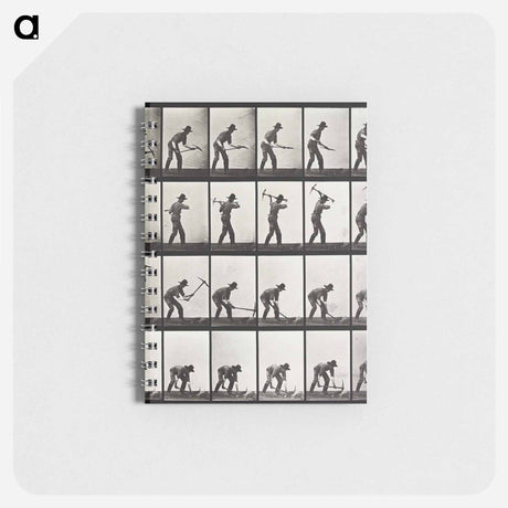 アートメモ帳-Animal Locomotion Plate 386
 - エドワード マイブリッジ Memo.