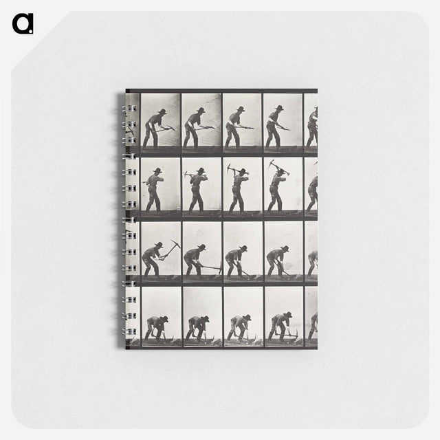 アートメモ帳-Animal Locomotion Plate 386
 - エドワード マイブリッジ Memo.