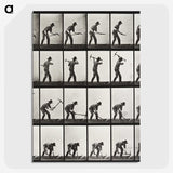 2-28_Eadweard-Muybridge_picture-crop
