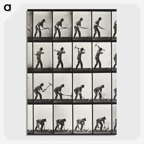 2-28_Eadweard-Muybridge_picture-crop