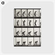 2-28_Eadweard-Muybridge_postcard