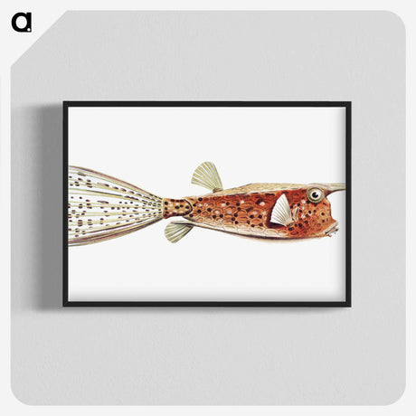 2-28_Ernst-Haeckel_blk-crop