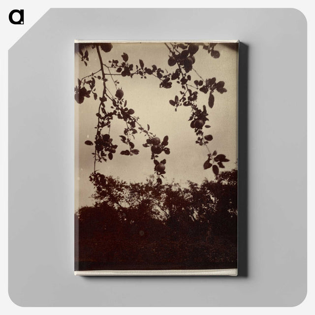 2-28_Eugene-Atget_canvas