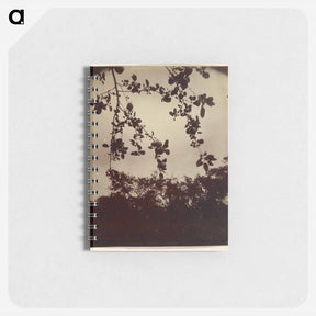 アートメモ帳-Apple Tree, Detail
 - ウジェーヌ アジェ Memo.