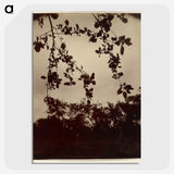 2-28_Eugene-Atget_picture-crop