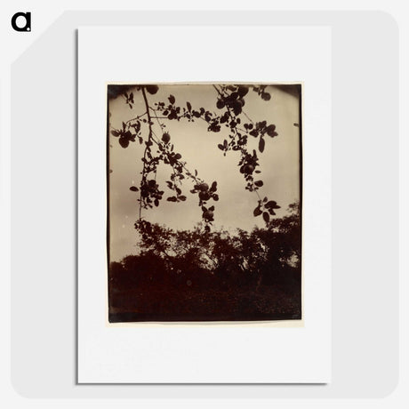 2-28_Eugene-Atget_picture