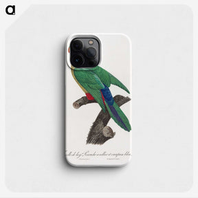 2-28_Francois-Levaillant_phone