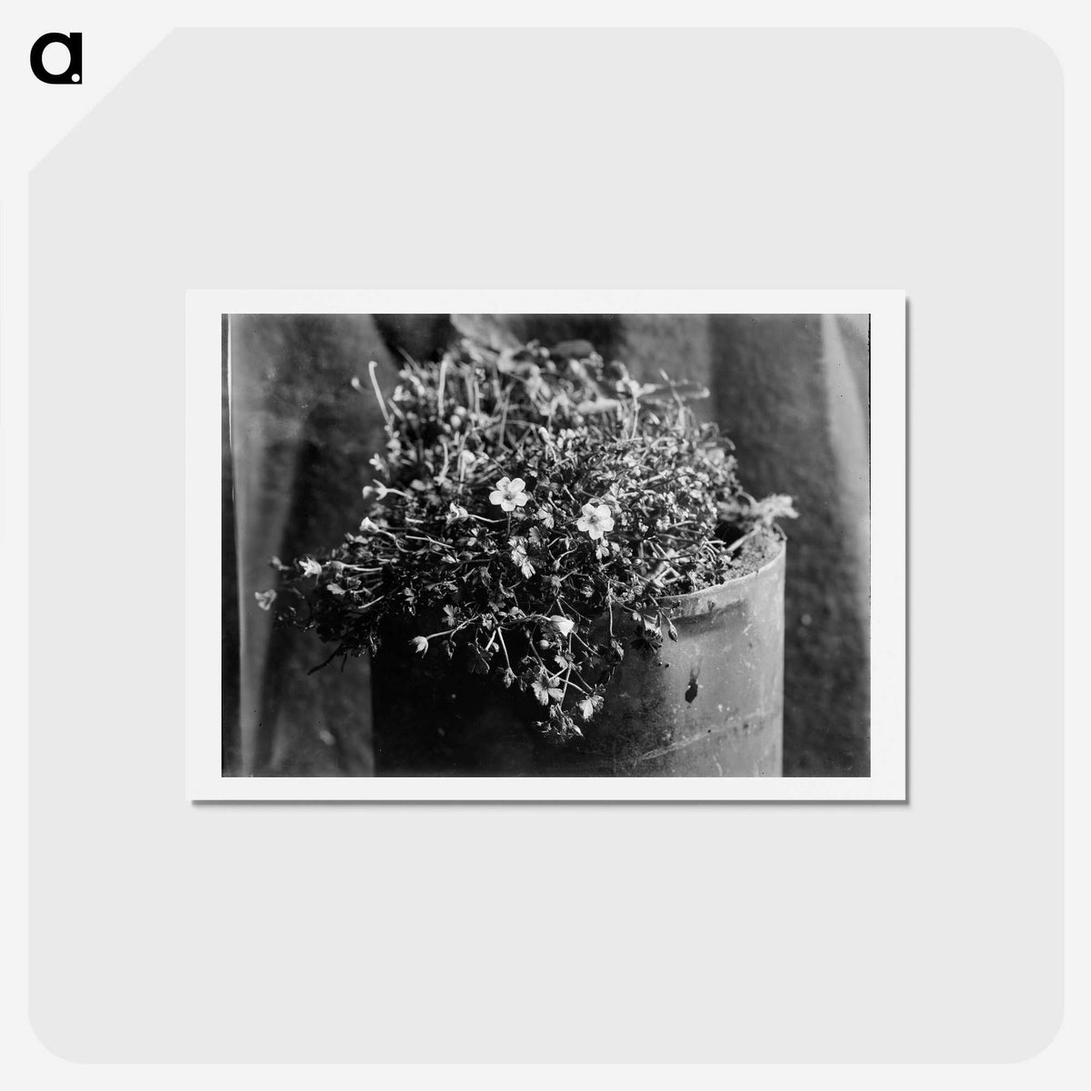 2-28_Frederick-Charles-Brockett_hagaki
