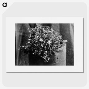 2-28_Frederick-Charles-Brockett_picture