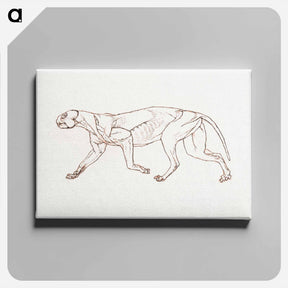 アートパネル-Leopard Body, Lateral View
 - ジョージ スタッブス Canvas.
