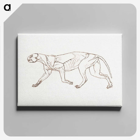 2-28_George-Stubbs_canvas