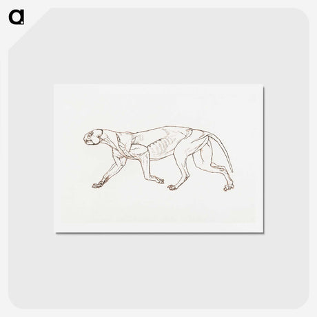 2-28_George-Stubbs_hagaki