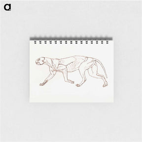 アートメモ帳-Leopard Body, Lateral View
 - ジョージ スタッブス Memo.