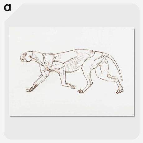 2-28_George-Stubbs_picture-crop