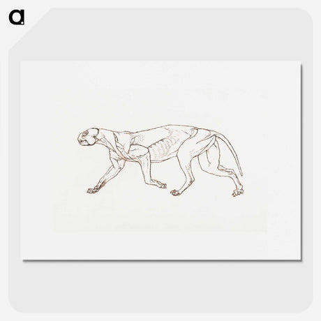 2-28_George-Stubbs_picture