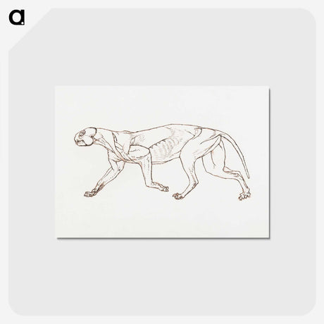 2-28_George-Stubbs_postcard