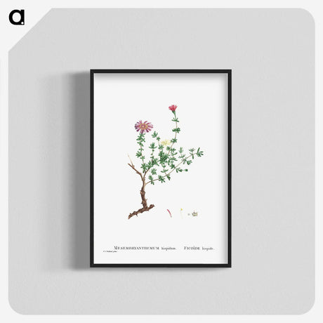 2-28_Histoire-des-Plantes-Grasses_blk-crop