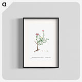 2-28_Histoire-des-Plantes-Grasses_blk