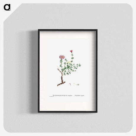 2-28_Histoire-des-Plantes-Grasses_blk
