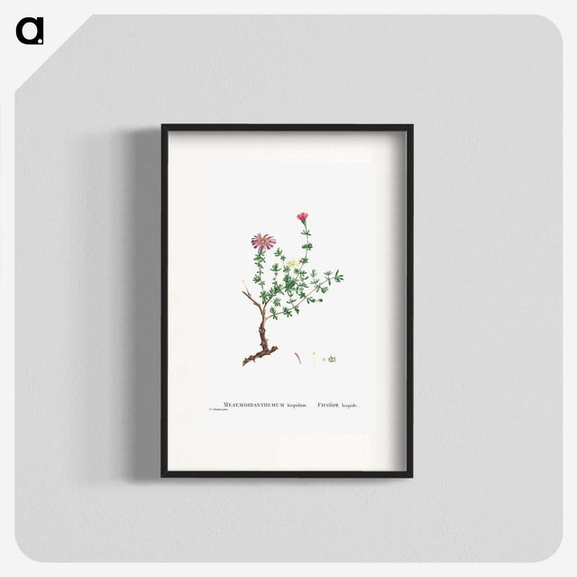 2-28_Histoire-des-Plantes-Grasses_blk