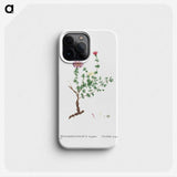 2-28_Histoire-des-Plantes-Grasses_phone