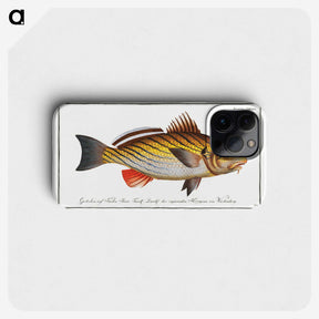 2-28_Ichtyologie-ou-Histoire-naturelle_phone