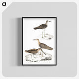 2-28_Indian-Zoology_blk-crop