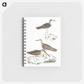 2-28_Indian-Zoology_memo