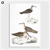 2-28_Indian-Zoology_picture-crop