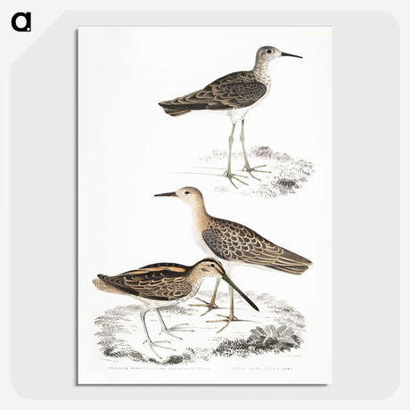 2-28_Indian-Zoology_picture-crop