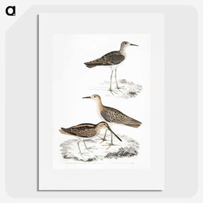 2-28_Indian-Zoology_picture