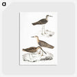 2-28_Indian-Zoology_postcard