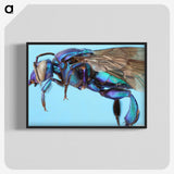 2-28_Insects-Unlocked-Project_blk-crop