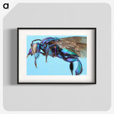 2-28_Insects-Unlocked-Project_blk
