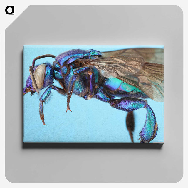 2-28_Insects-Unlocked-Project_canvas