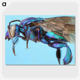 2-28_Insects-Unlocked-Project_picture-crop
