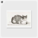 アートポストカード-Sitting cat - ジャン ベルナール Postcard.