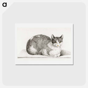 アートポストカード-Sitting cat - ジャン ベルナール Postcard.