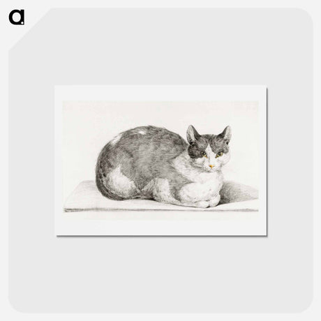 アートポストカード-Sitting cat - ジャン ベルナール Postcard.